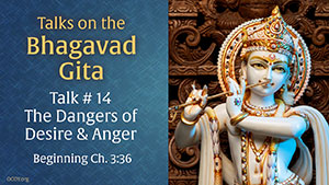 Talk 14 on the Bhagavad Gita