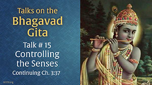 Talk 15 on the Bhagavad Gita