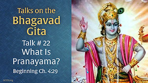 Talk 22 on the Bhagavad Gita