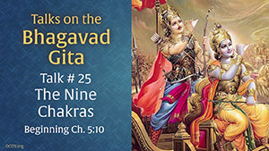 Talk 25 on the Bhagavad Gita