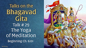 Talk 29 on the Bhagavad Gita