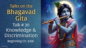 Talk 30 on the Bhagavad Gita