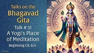 Talk 31 on the Bhagavad Gita