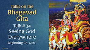 Talk 34 on the Bhagavad Gita