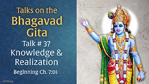 Talk 37 on the Bhagavad Gita