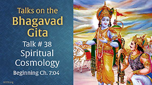 Talk 38 on the Bhagavad Gita