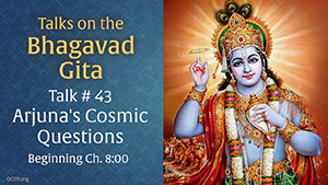 Talk 43 on the Bhagavad Gita