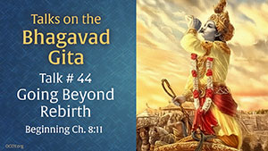Talk 44 on the Bhagavad Gita