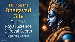 Talk 46 on the Bhagavad Gita