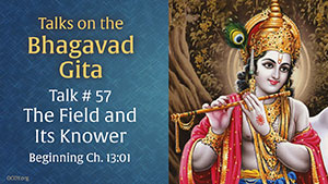 The Field & Its Knower