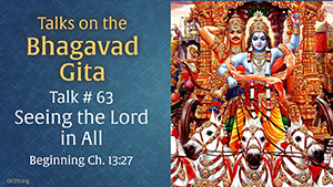 Seeing the Lord in All Gita Talk