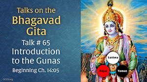Introduction to the Gunas