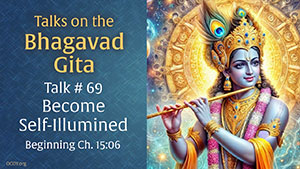 Become Self-Illumined
