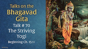 The Striving Yogi